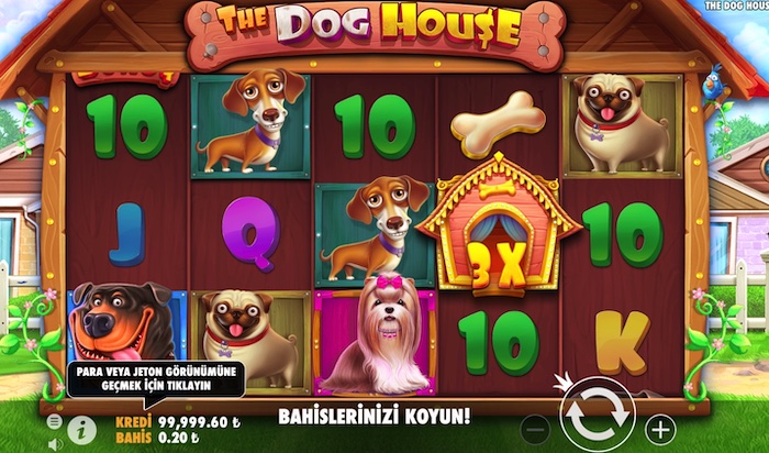 the dog house pragmatic play