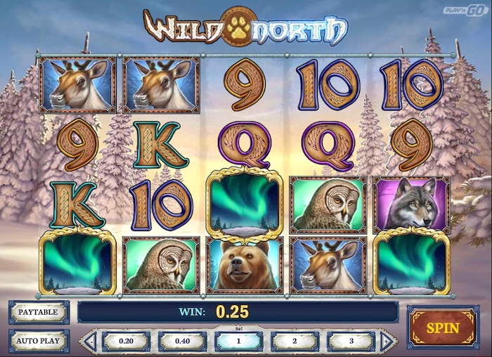 wild north slot